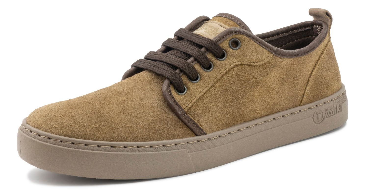 Miso Beige 954