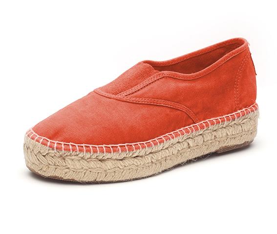 Old Zinnia Rot 652